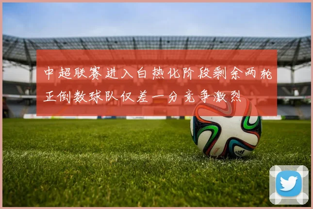 中超联赛进入白热化阶段剩余两轮正倒数球队仅差一分竞争激烈