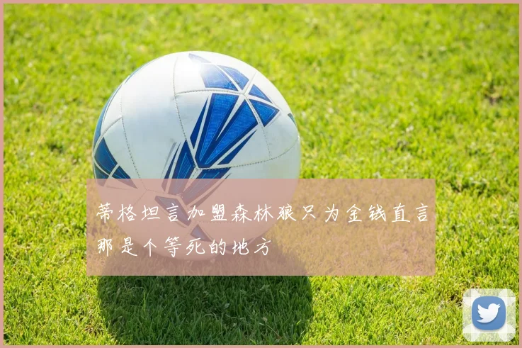 蒂格坦言加盟森林狼只为金钱直言那是个等死的地方