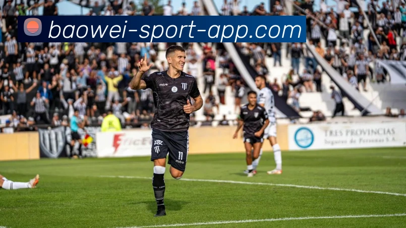 宝威体育平台生态图