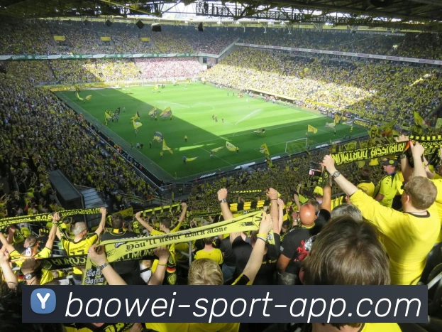 宝威体育全站App