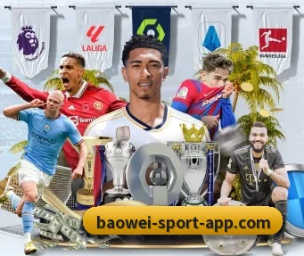 宝威体育 APP - BOWWAYSPORTS